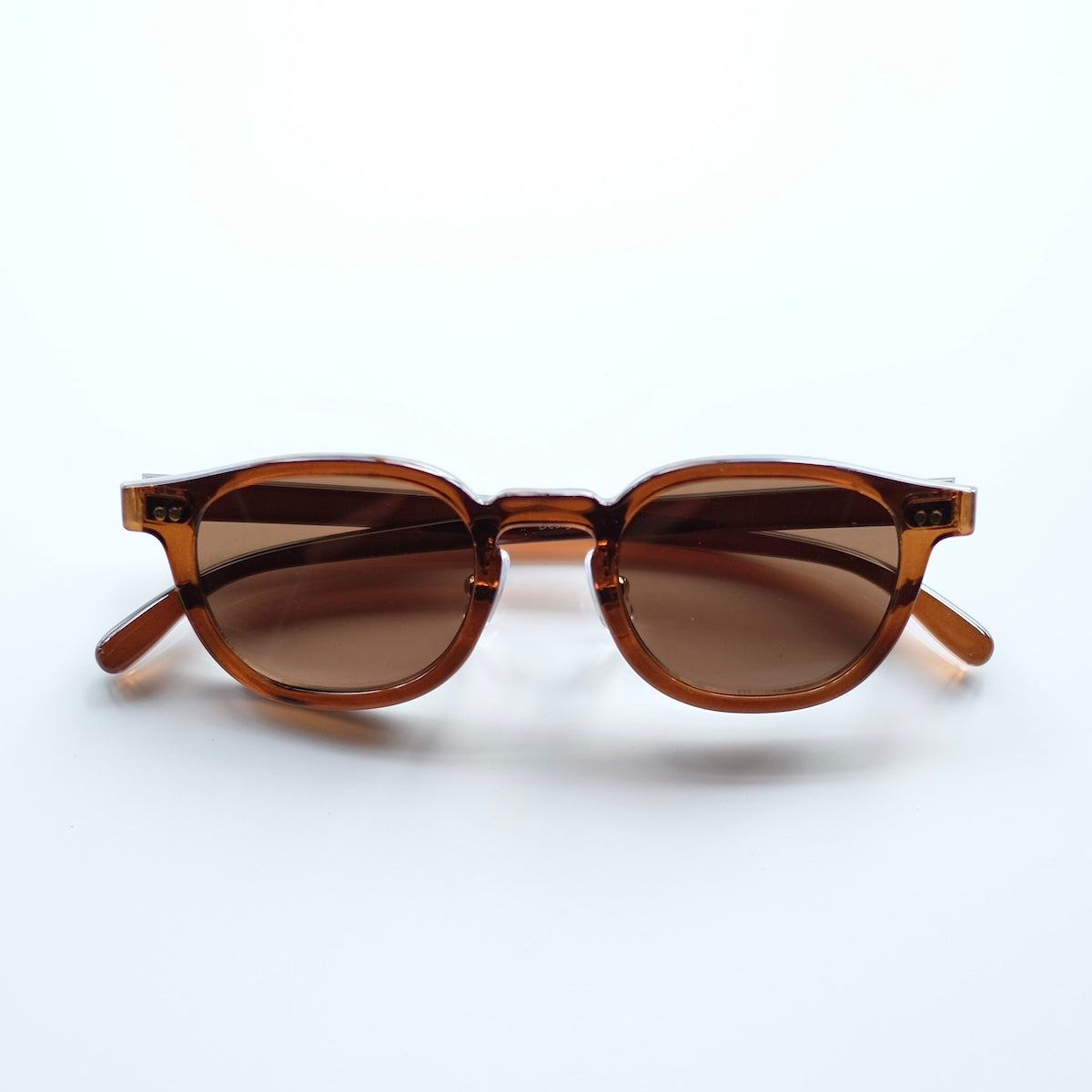 ciqi / Beck Sunglasses / Brown x Brown Lenses