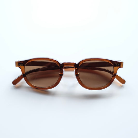 ciqi / Beck Sunglasses / Brown x Brown Lenses