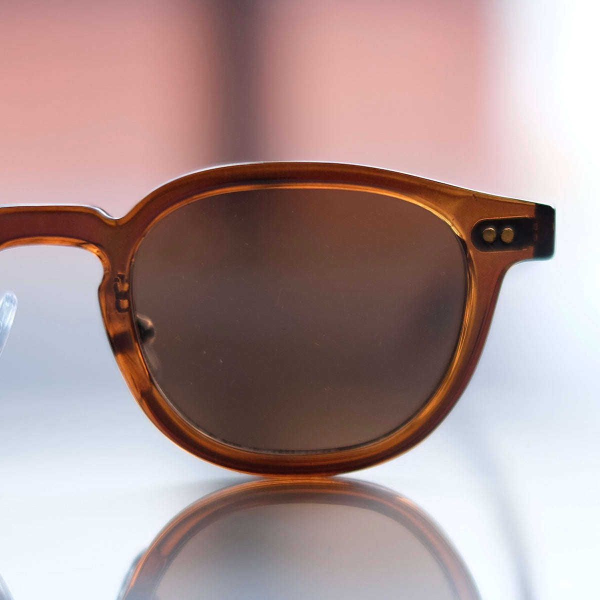 ciqi / Beck Sunglasses / Brown x Brown Lenses
