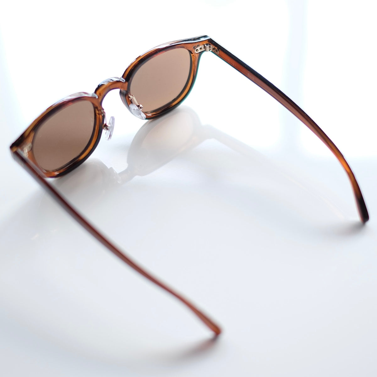 ciqi / Beck Sunglasses / Brown x Brown Lenses