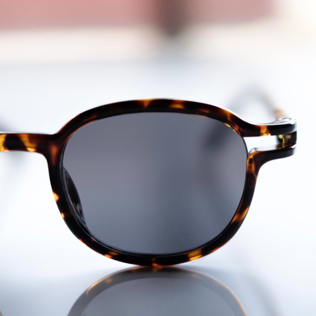 "PIET HEIN EEK × Ciqi " / Hein Sunglasses /Demi x Gray Lenses